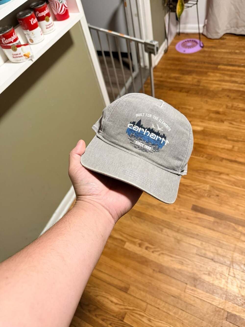 Carhartt Built For The Elements Graphic Snapback Hat Gray